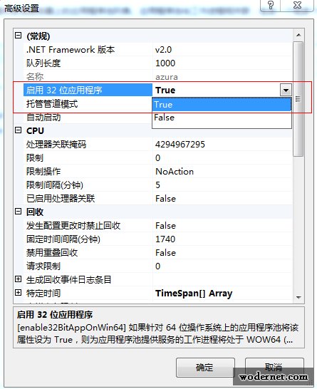 IIS應用程序池 高級設置