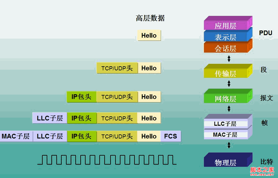 BeginMan--TCP/IP協議