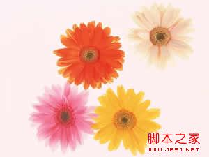 點擊在新窗口查看原始圖片 ASP組件AspJpeg(加水印)使用方法大全 - 糟老頭 - 糟老頭的地盤