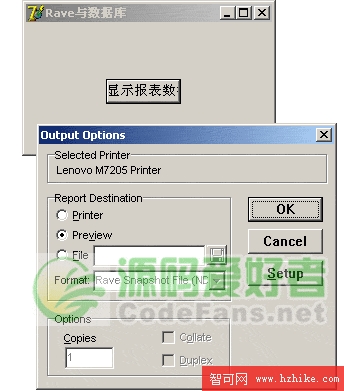 Rave 報表結合數據庫的使用實例