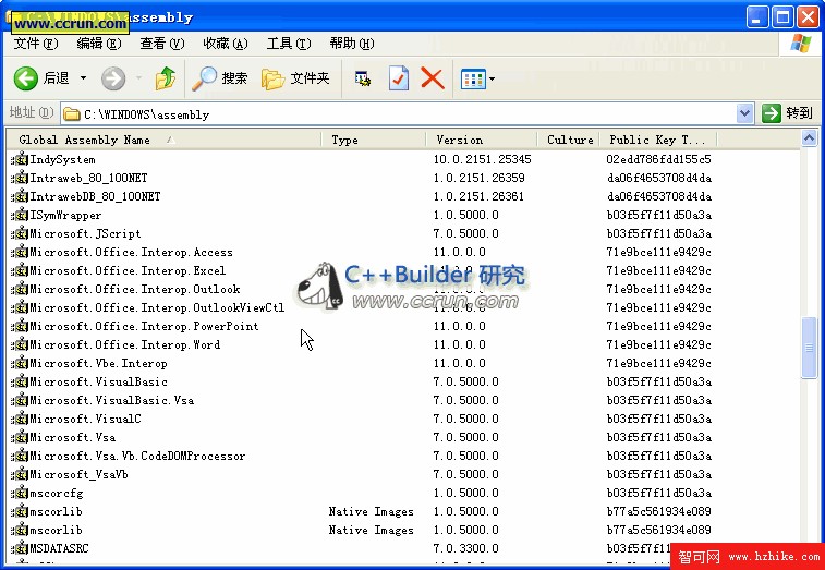 用BDS 2006來開發基於Interop的Office程序