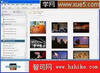 圖片：Picasa Screenshot