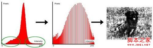 http://www.cnblogs.com/http://www.cnblogs.com/../_images/Histogram_Equalization_Theory_1.jpg