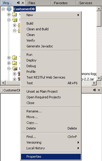 REST 風格的 Web 服務測試程序中的原始視圖窗口