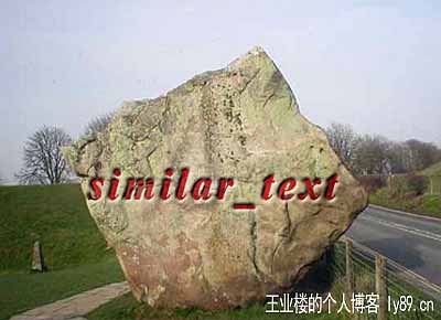 PHP計算兩個字符的相似程度similar_text