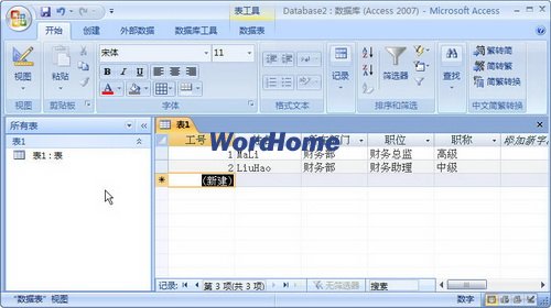 Access2007數據表視圖