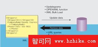 使SQL Server數據支持 XML