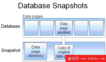 選擇具有高可用性的數據庫: SQL Server與Oracle對比分析 1