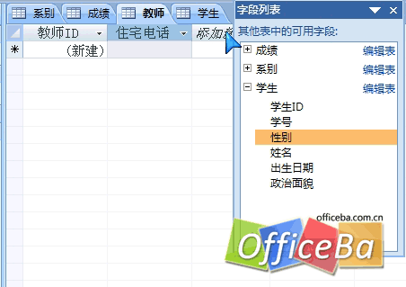 在 Access 2007 表中添加和刪除字段