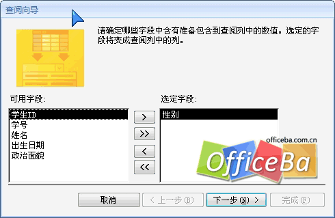 在 Access 2007 表中添加和刪除字段