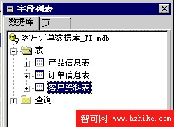 字段列表