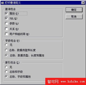 “打印查詢定義”對話框