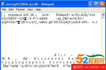 在Access 2007中保護 Access密碼和進行加密