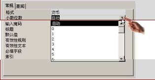 中文Access2000速成教程--1.3 在“設計”視圖中設計表