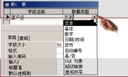 中文Access2000速成教程--1.3 在“設計”視圖中設計表