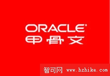 Oracle Logo