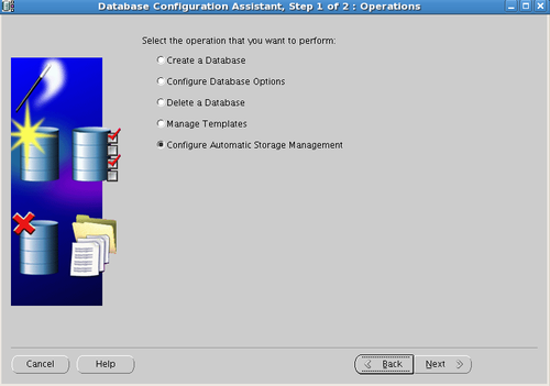 oracle asm 增加新磁盤