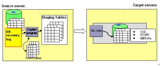 為 InfoSphere Warehouse 提供實時數據的高效解決方案