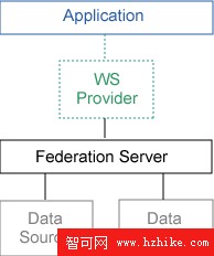 在 WebSphere Federation Server V9.1 中使用聯邦過程