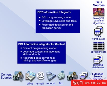 DB2 信息集成: 總覽圖