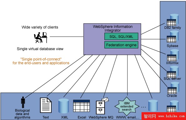 使用 WebSphere Information Integrator 自主監控工具維護聯邦數據