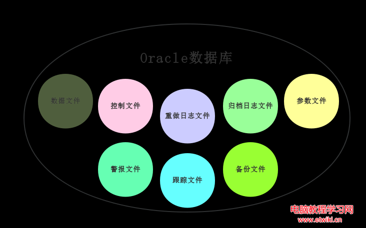 Oracle物理結構