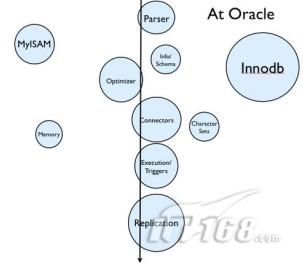 各項目團隊在Oracle的情況