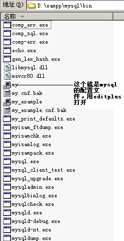 MySQL數據庫的優化心得