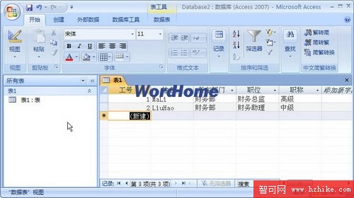 Access2007數據表視圖