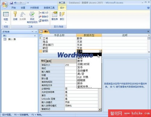 Access2007設計視圖